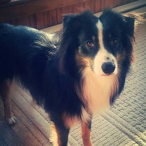 Meet your Posher, Veronica